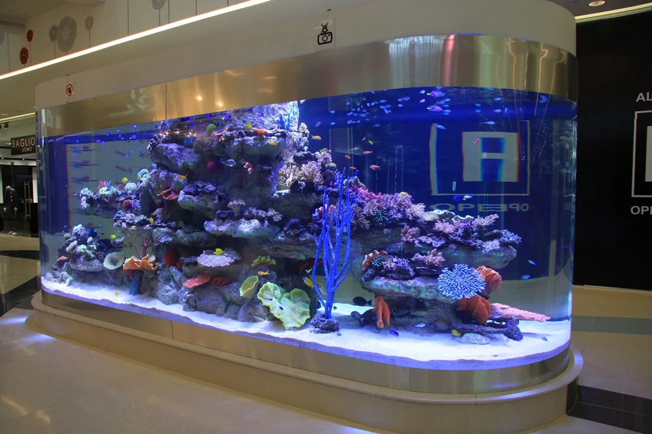 Аквариум в ТРЦ&nbsp;Mega Almaty