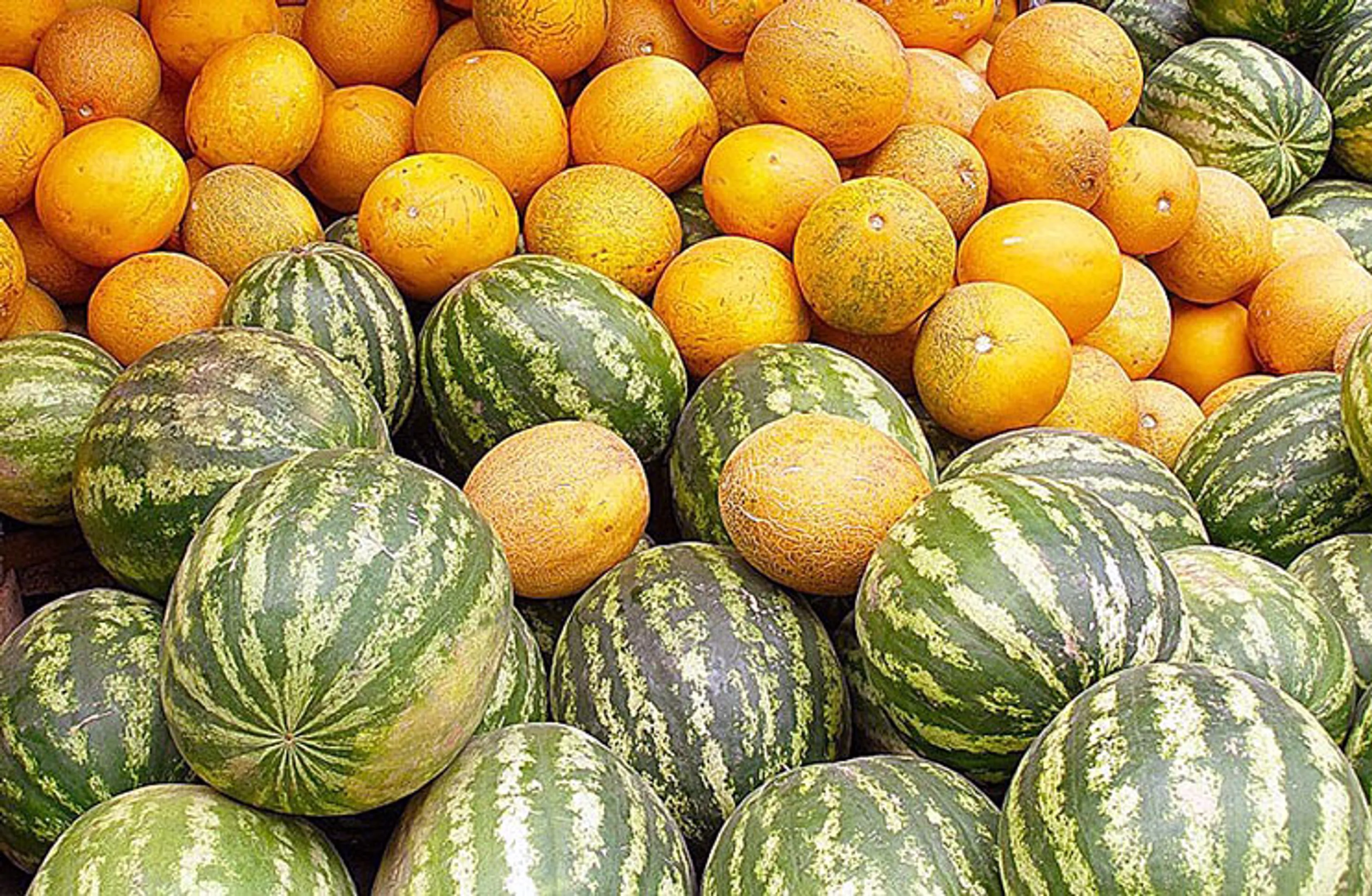 Капитал - Более 1 млн тонн бахчевых планируют собрать в Туркестанской области