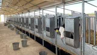 Капитал - В 2023 году в агропромышленном комплексе Казахстана запустили 207 инвестпроектов