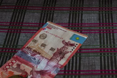 Фото: Валерия Змейкова