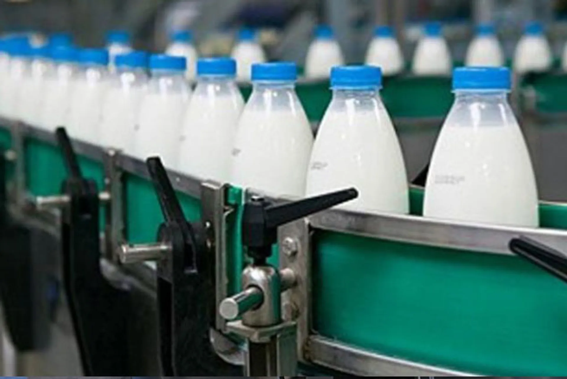 Капитал - Перерабатывающим предприятиям АПК вернут расходы по НДС