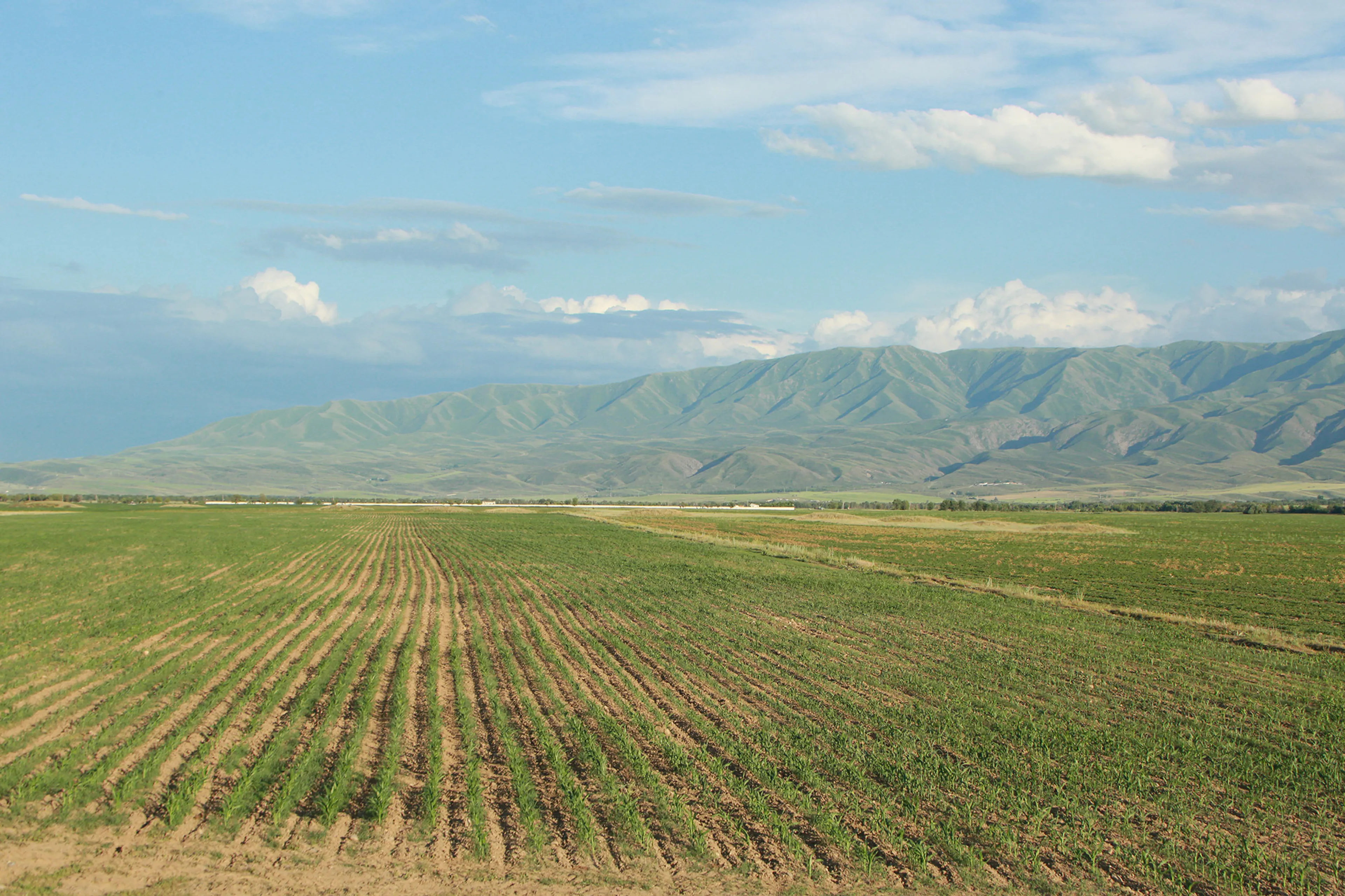 Фото: Руслан Пряников
 