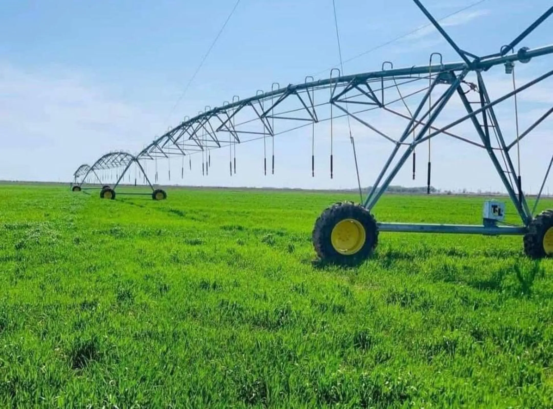 Фото: пресс-служба акимата Туркестанской области