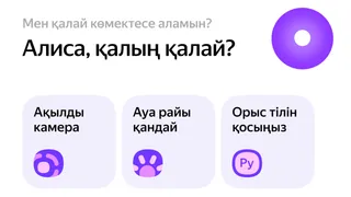 Капитал - Яндекс Казахстан запустил Алису на казахском языке в мобильном браузере