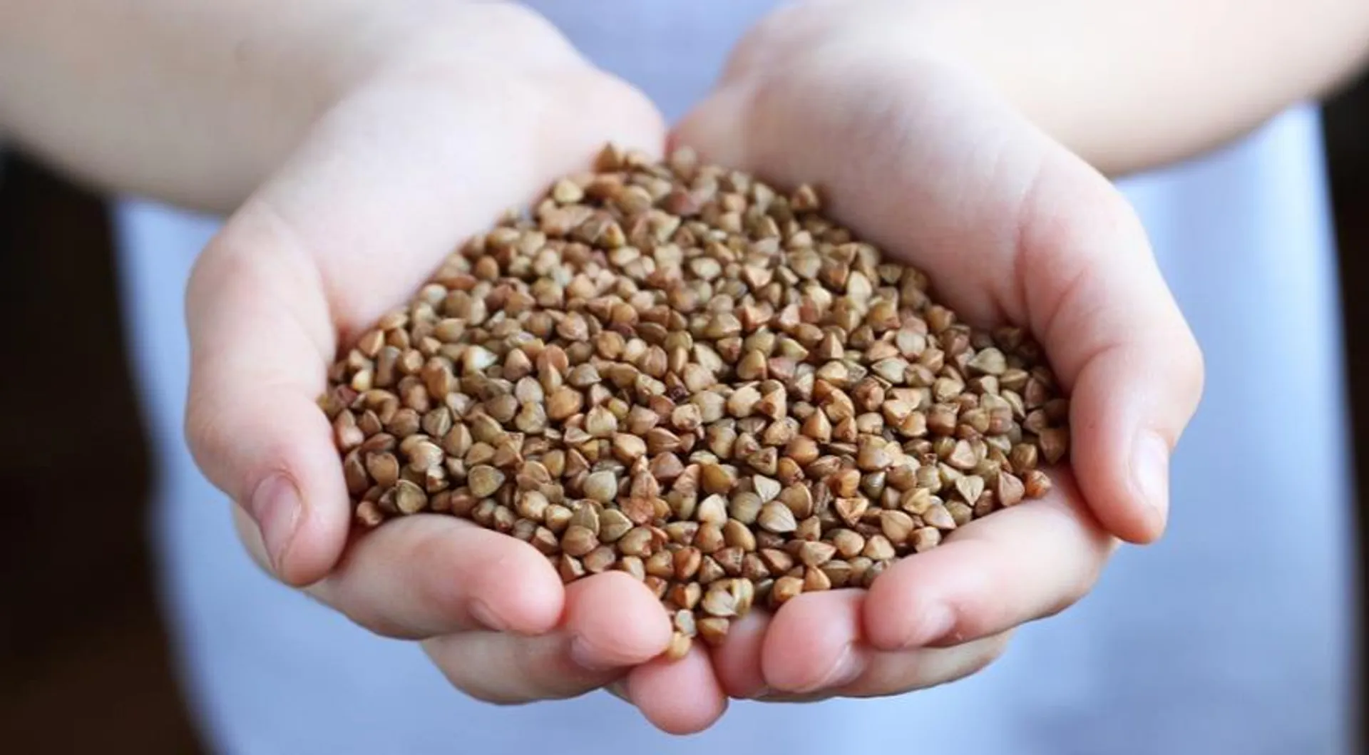 фото: gastronom.ru