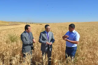 Капитал - В Южно-Казахстанской области началась уборка урожая