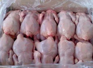 Капитал - $10 млн. теряет Украина на куриной войне в ТС