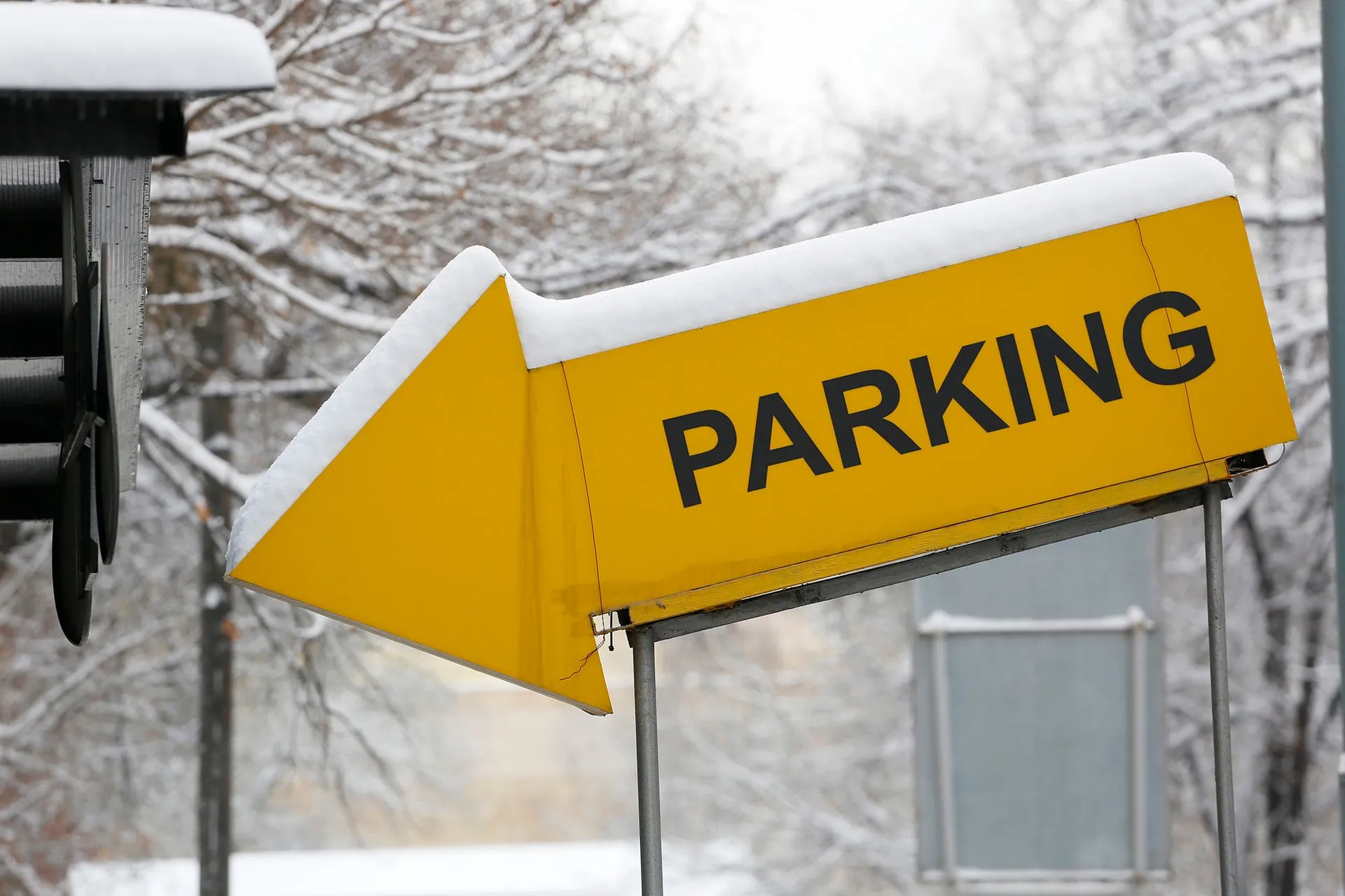 Фото: Руслан Пряников 