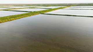 Фото: Министерство водных ресурсов и ирригации РК 