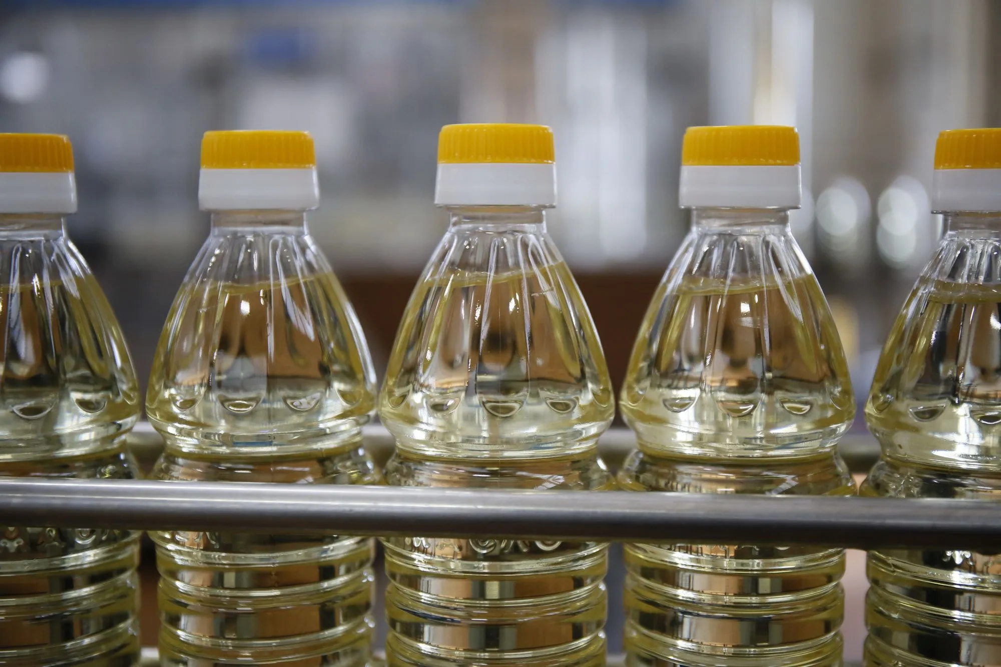 В Казахстане запустят пилот по маркировке растительного масла