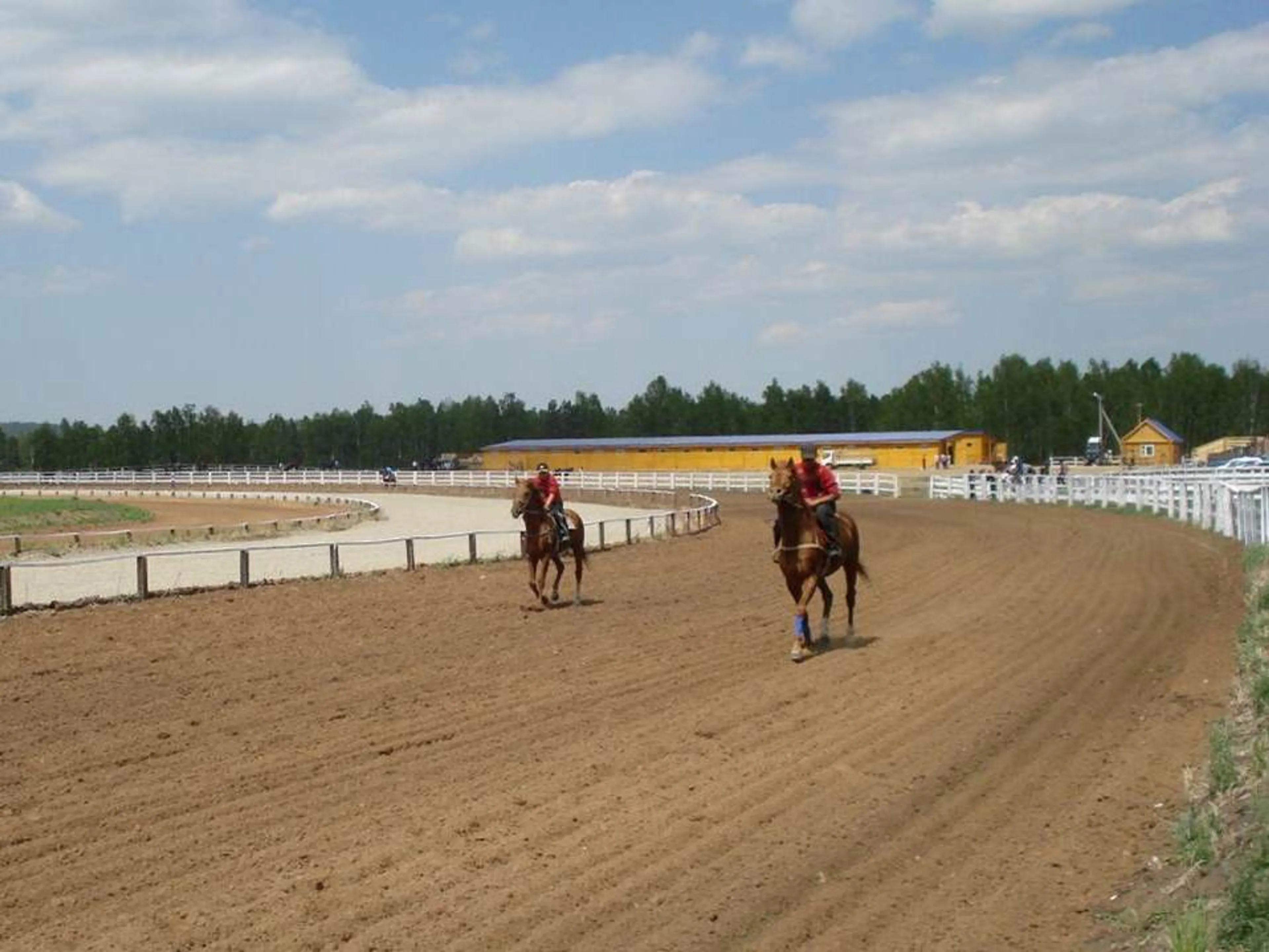 Капитал - В Казахстане выводят новую породу лошадей