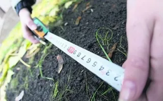 Капитал - Свободных земельных участков в Шымкенте нет