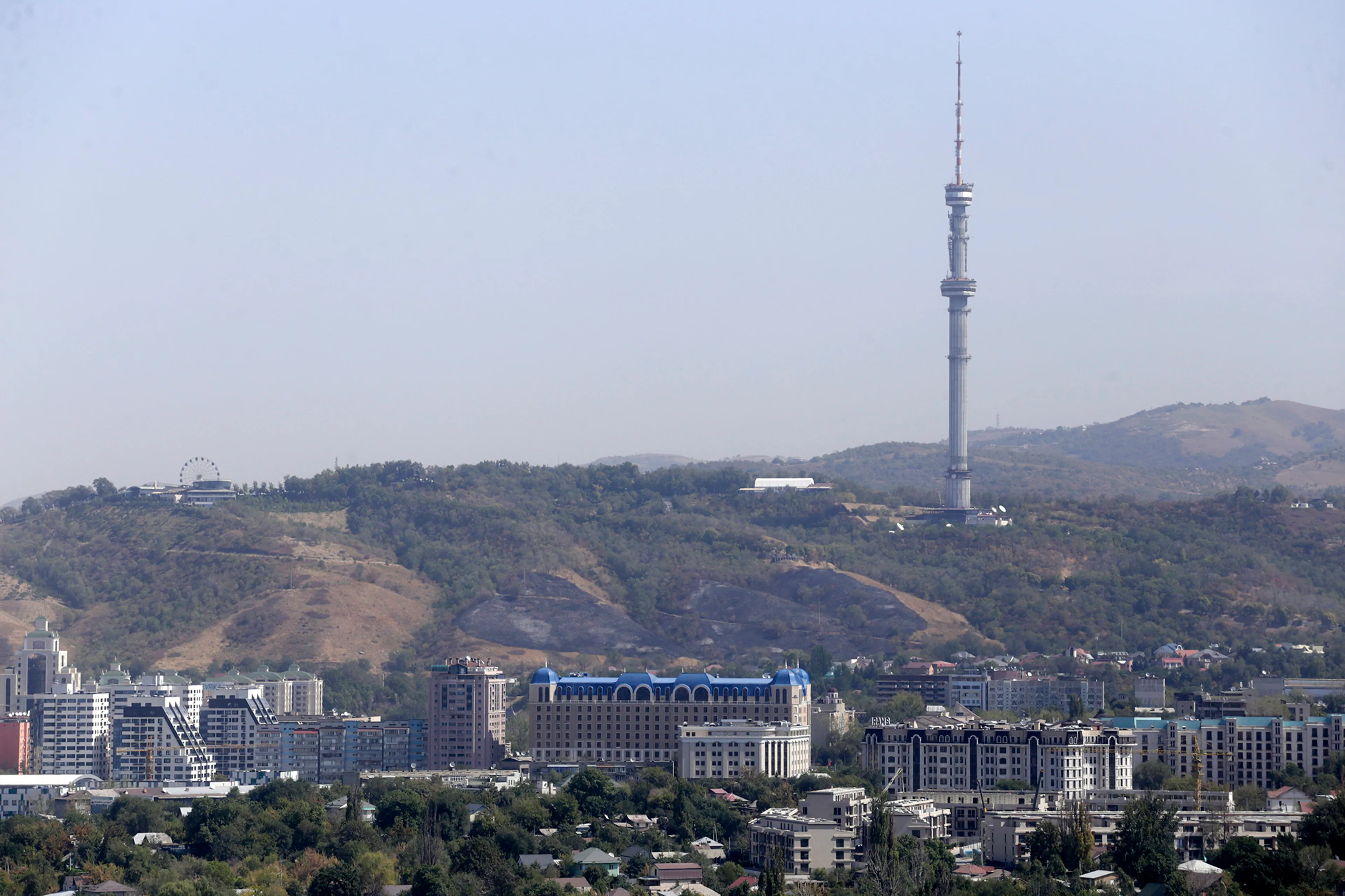 Фото: Руслан Пряников