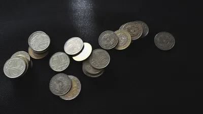 Фото: Валерия Змейкова