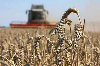 Капитал - АПК частично компенсируют расходы