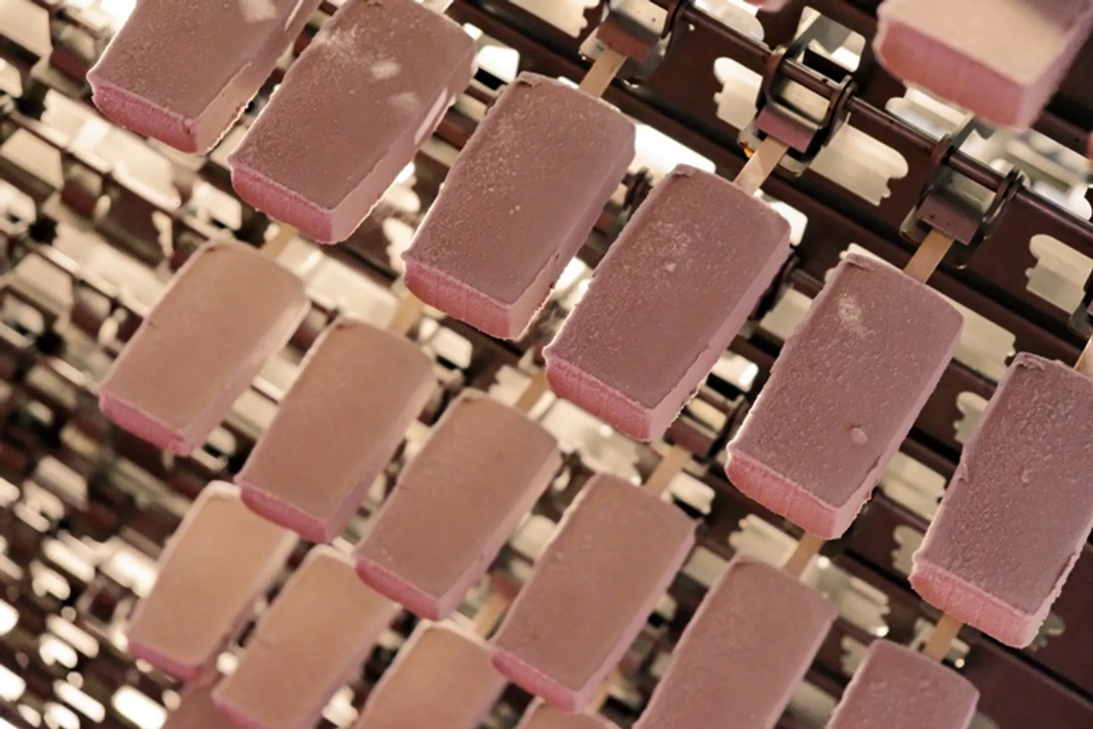 Фото: Владимир Третьяков