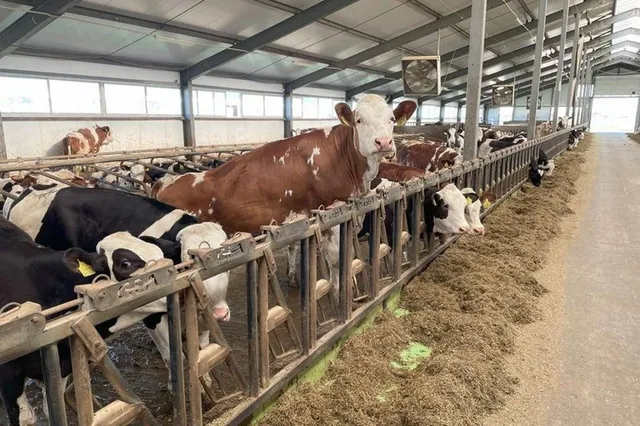 Фото: Министерство сельского хозяйства РК 