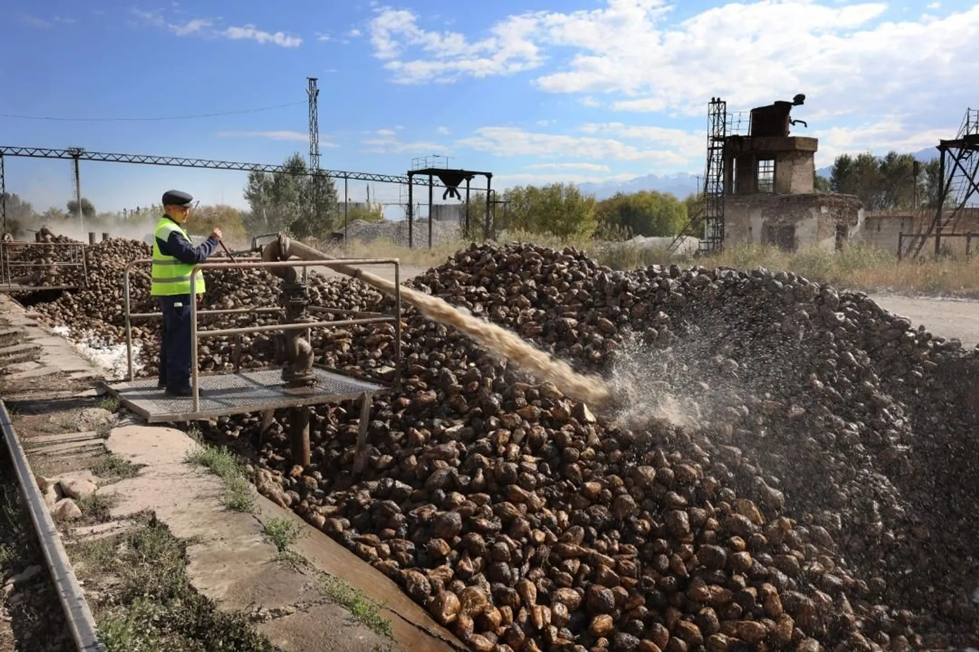 Фото: сайт акимата Жамбылской области 