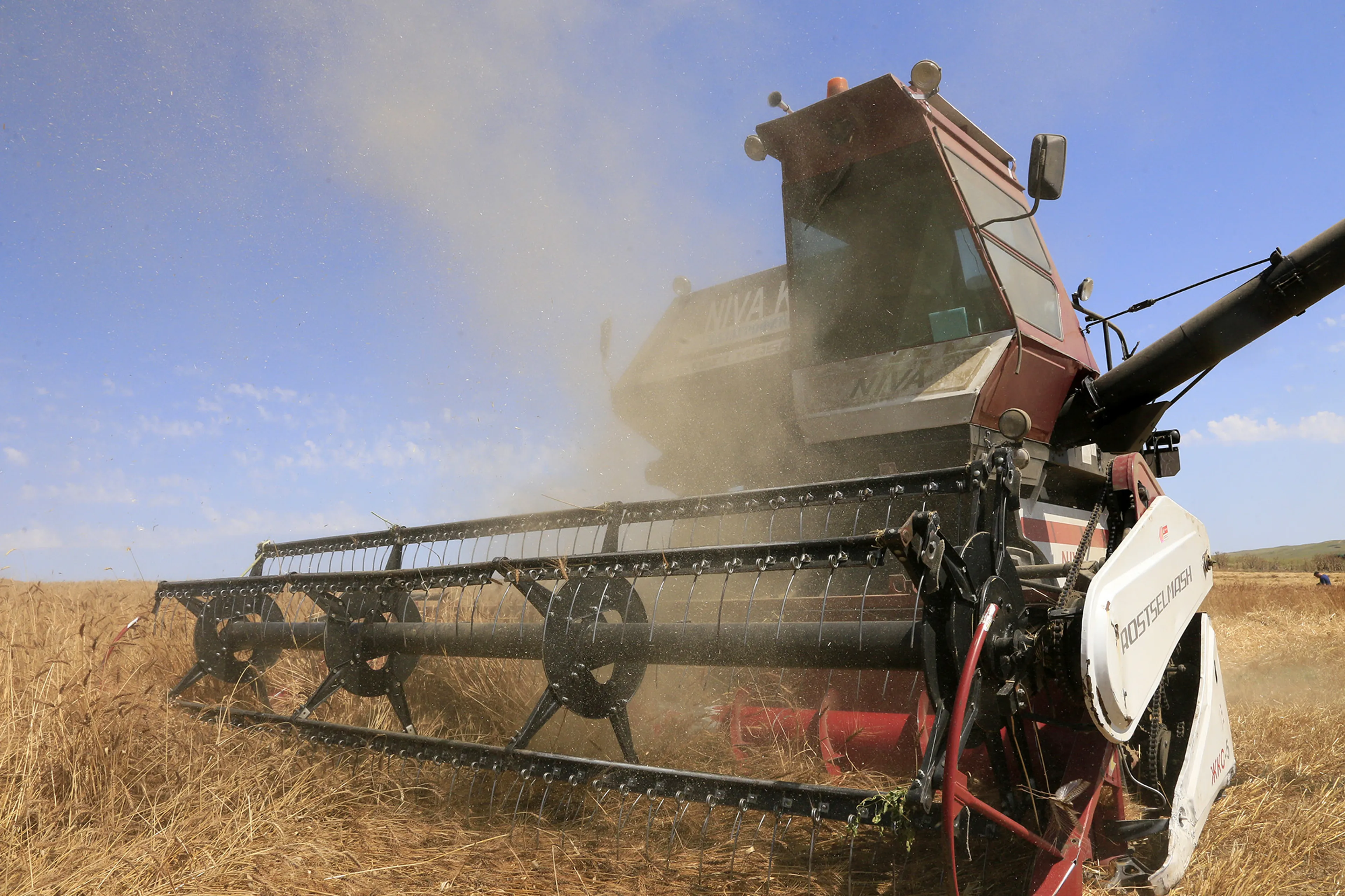 Фото: Руслан Пряников