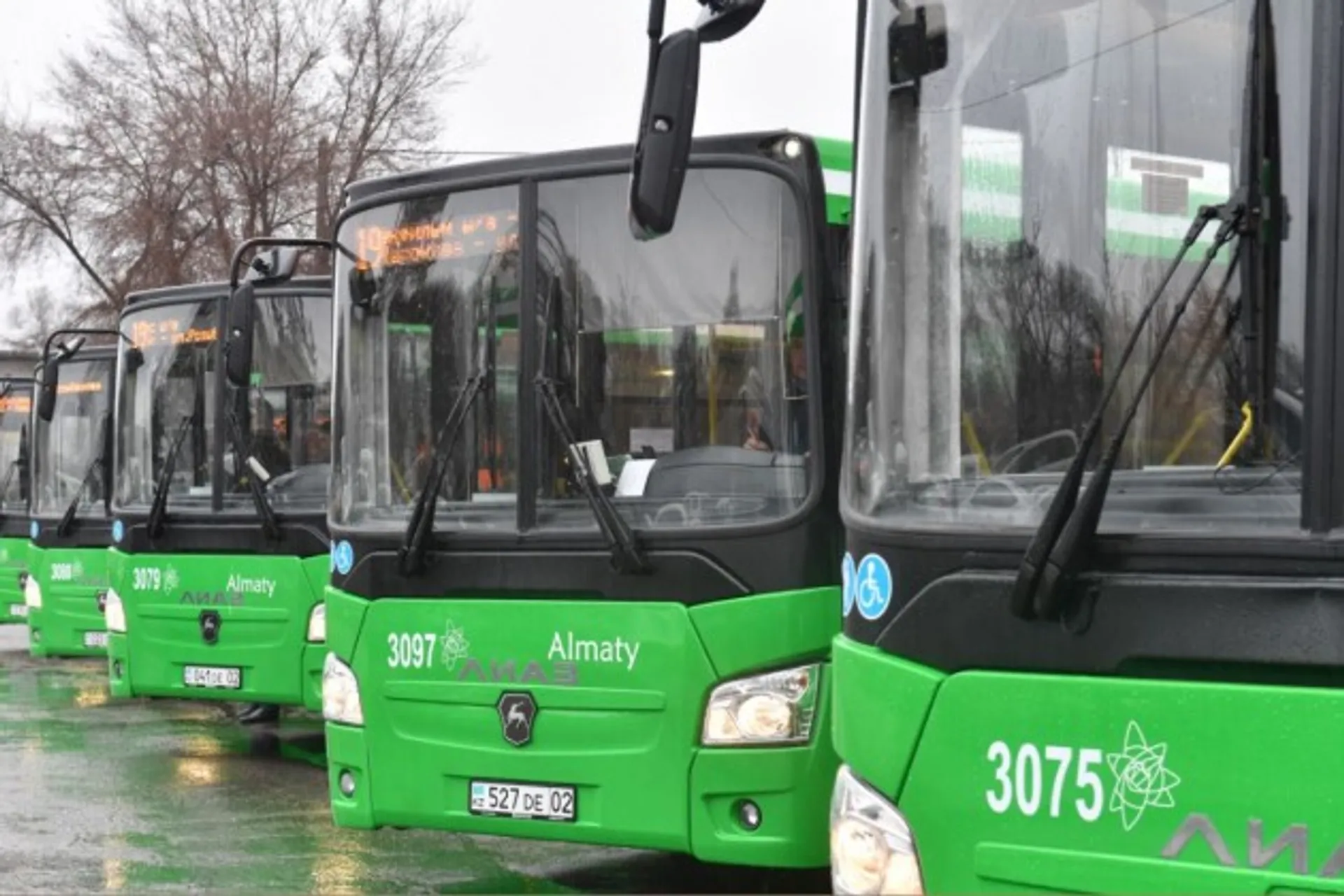 Капитал - Акимат Алматы расторг договор с Green Bus