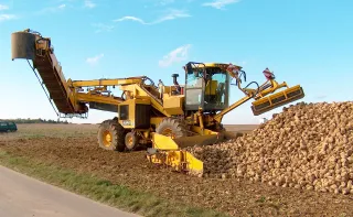 Капитал - В октябре будет запущен Коксуский сахарный завод