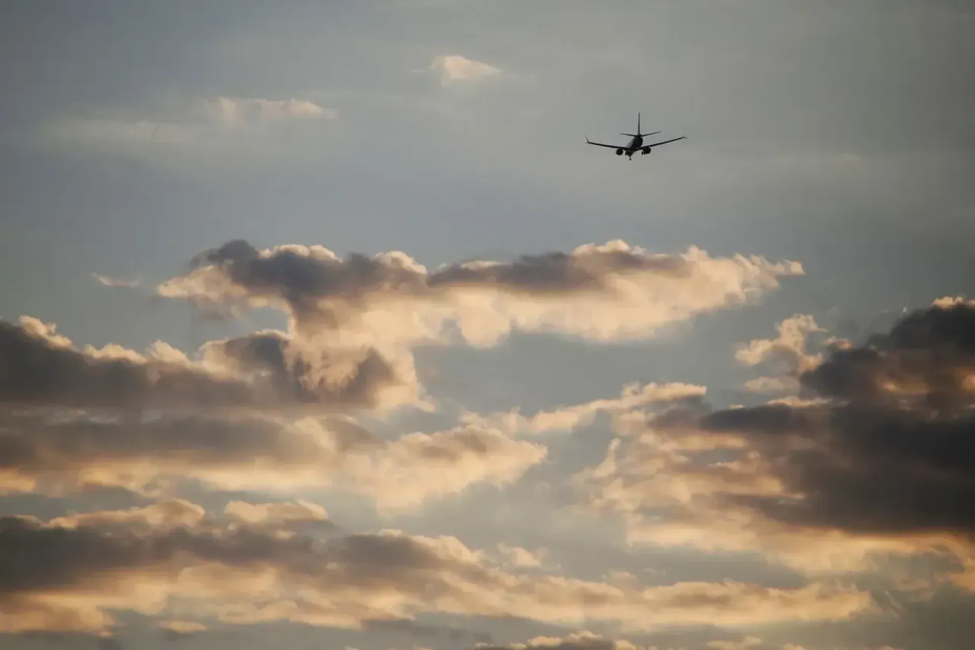 Фото: Руслан Пряников