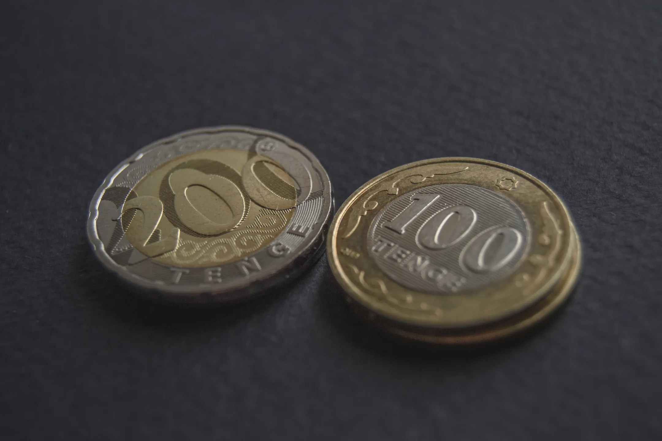 Фото: Валерия Змейкова