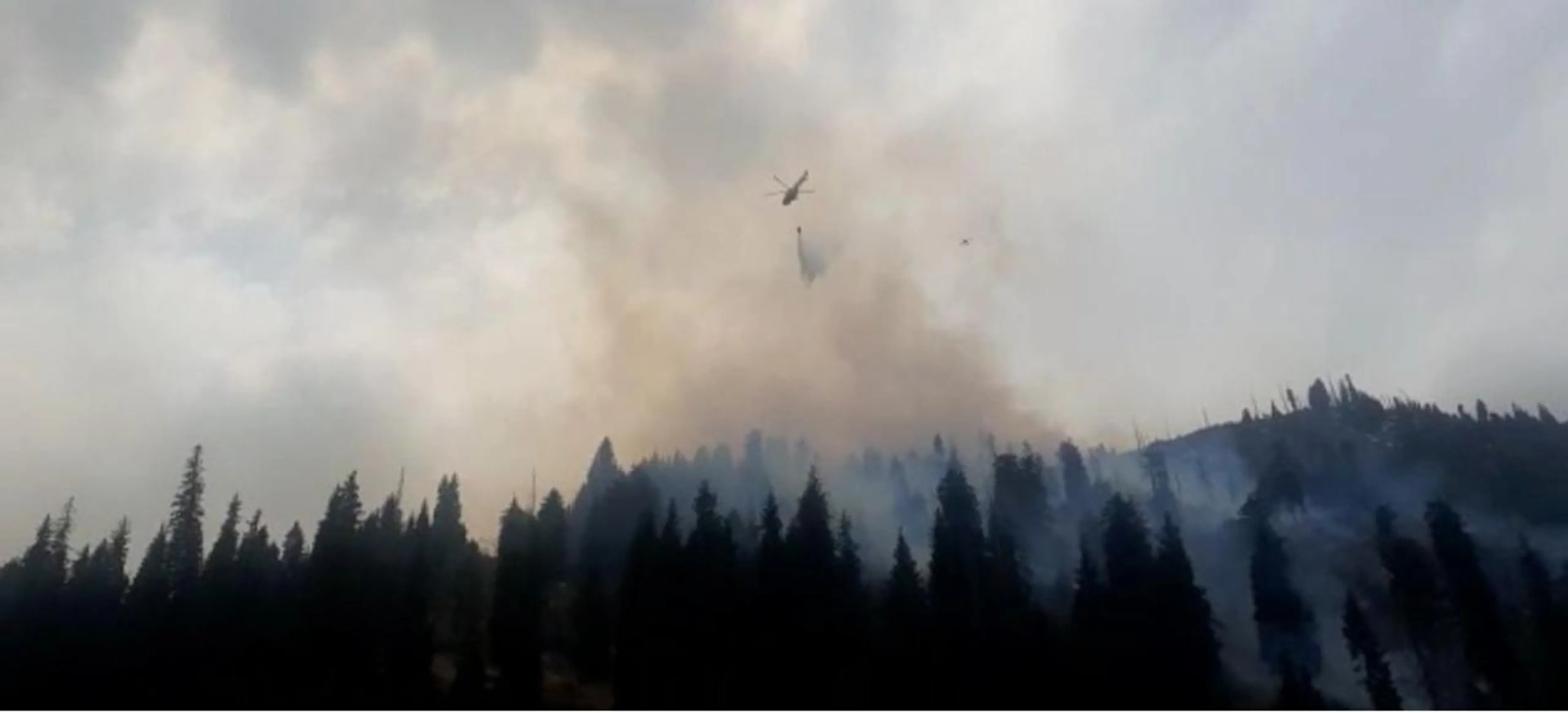 Фото: МЧС РК