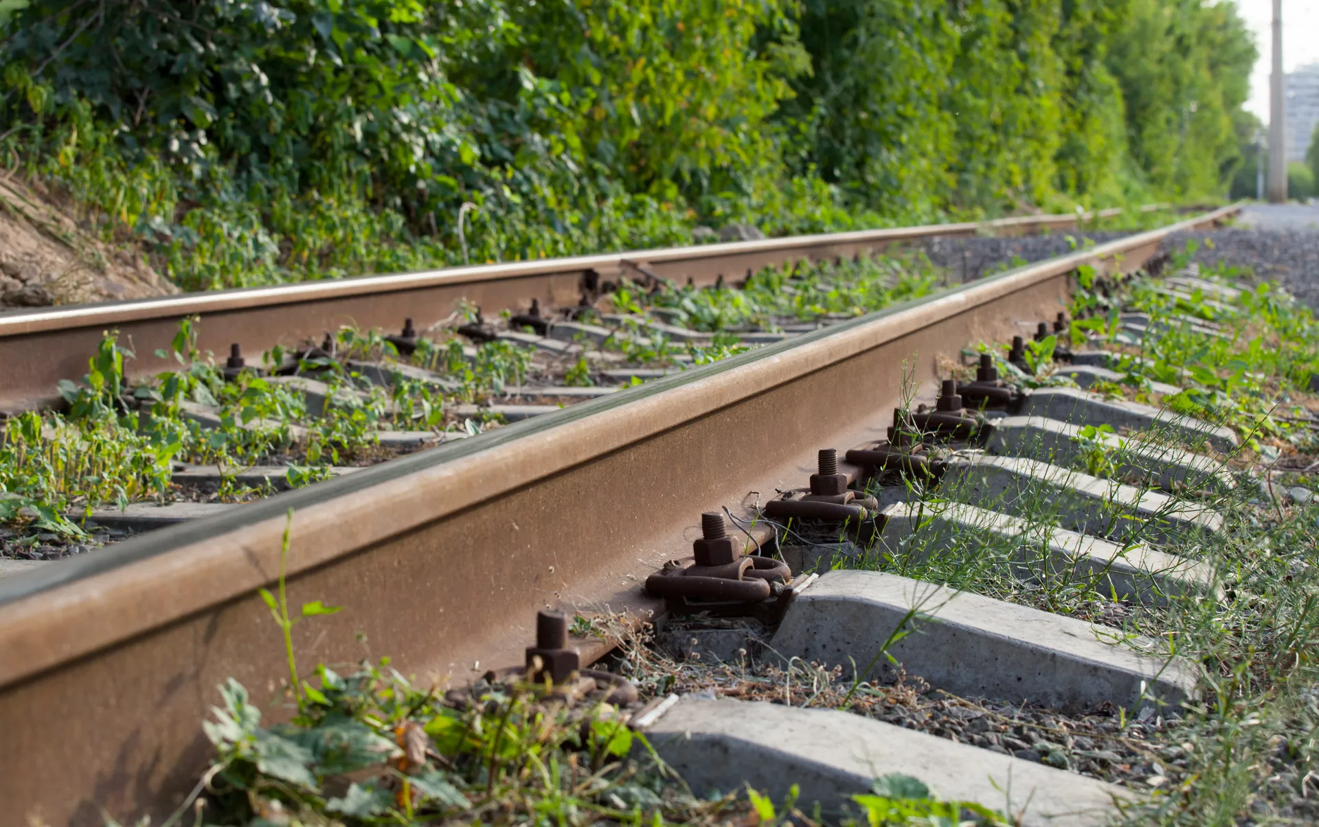 Капитал - Объединение компаний стран ТС принесет ВВП Казахстана $5,3 млрд