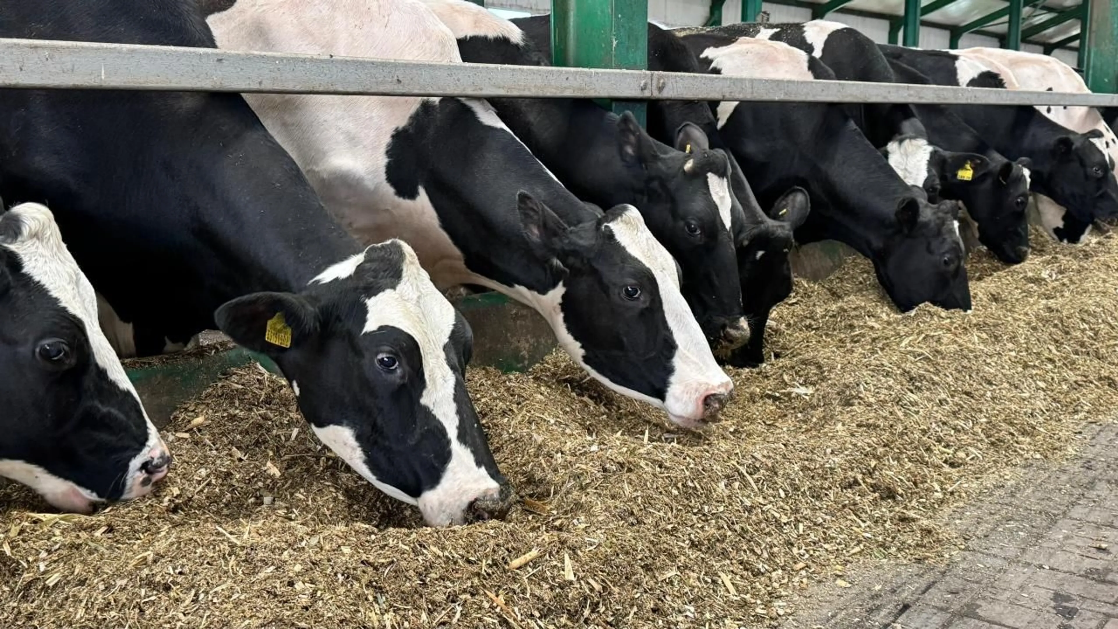 Фото: Министерство сельского хозяйства РК 