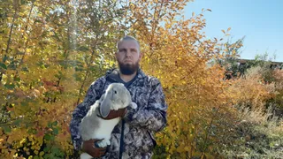 Капитал - Казахстанские кролиководы покрывают лишь 20% спроса