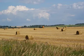 Капитал - Создается инвестиционный фонд по поддержке АПК