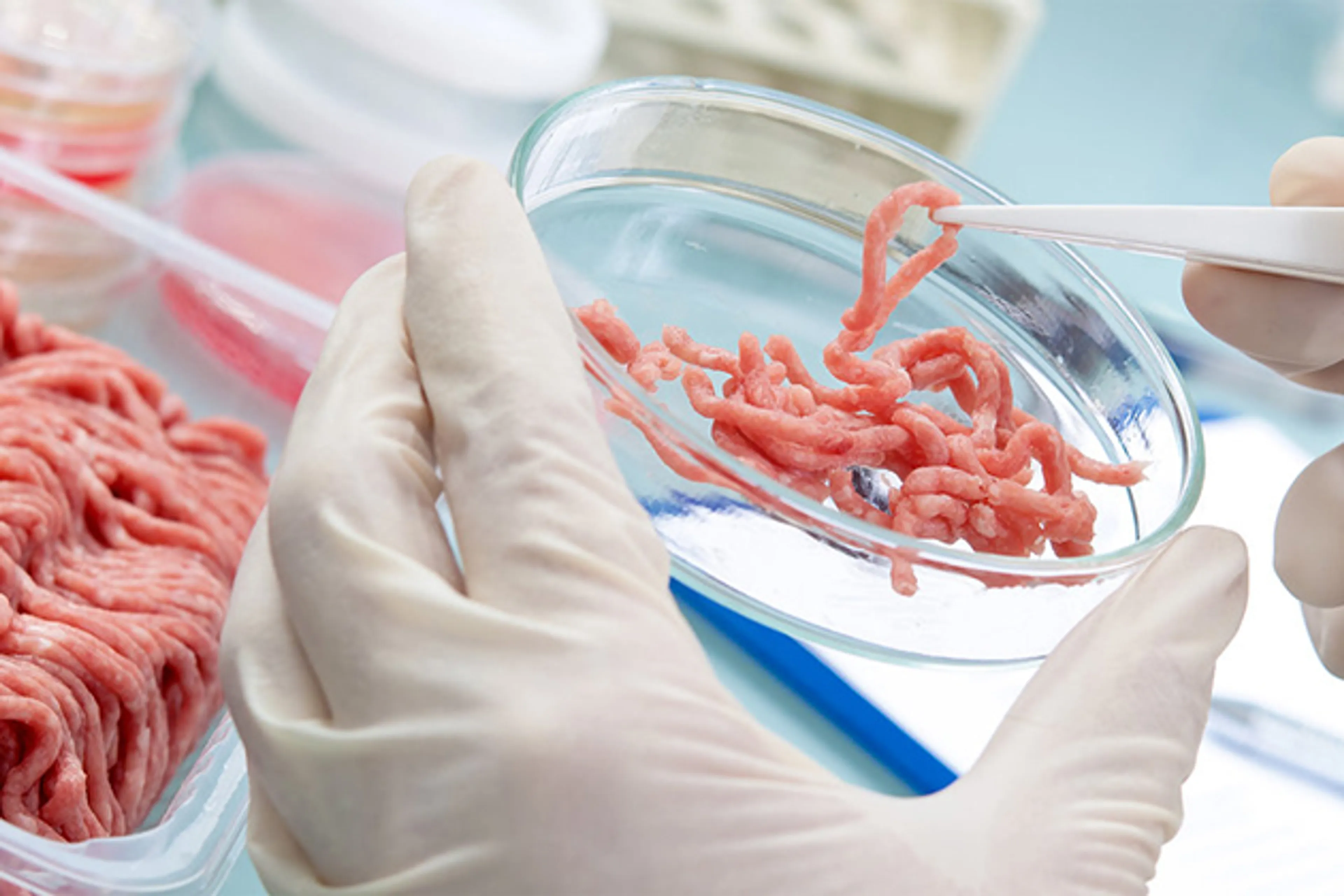 Капитал - Искусственное мясо: возможно, самое перспективное IPO 2019 года