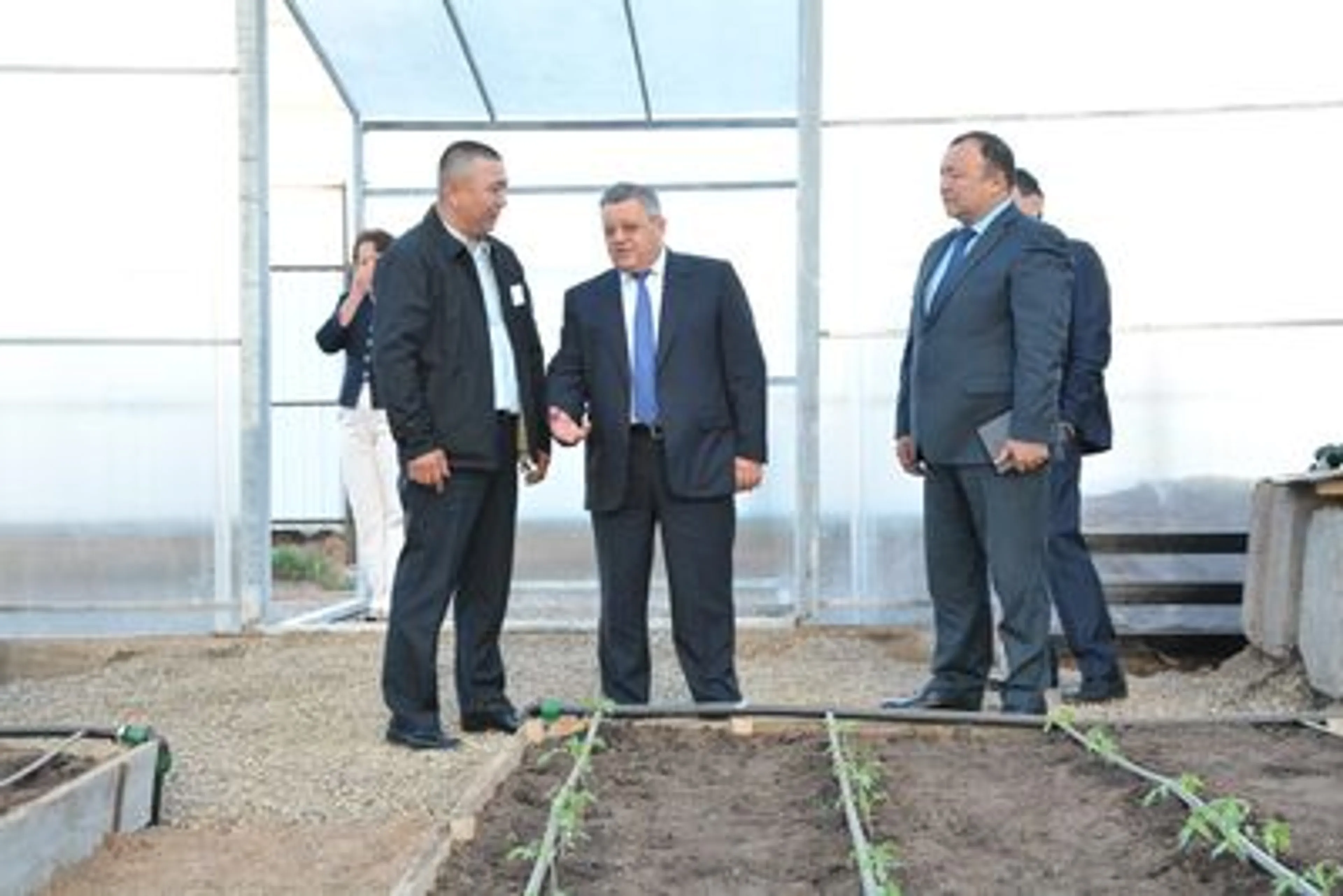 Капитал - Новая теплица обеспечит жителей Астаны свежими овощами