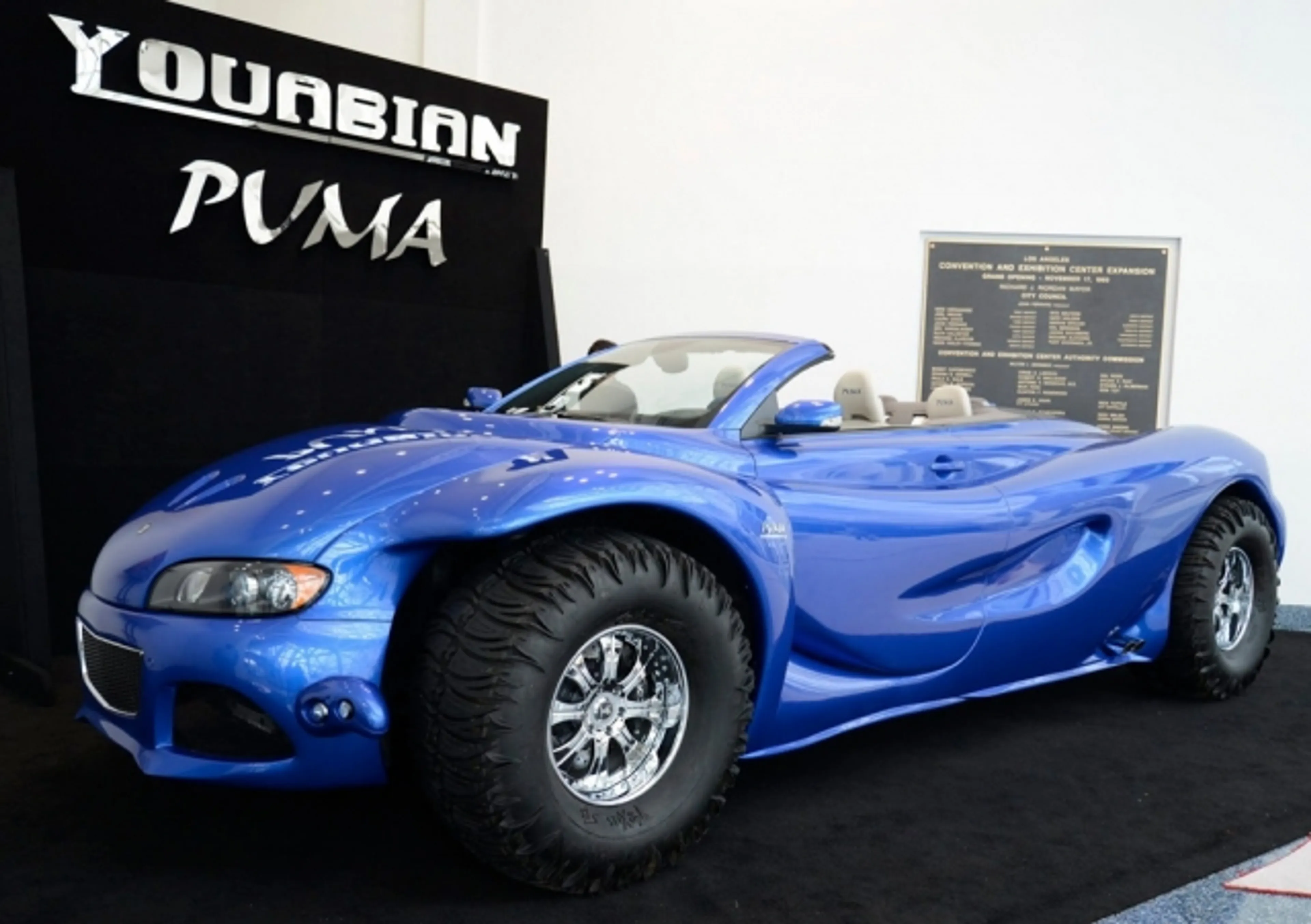 Капитал - Неоднозначный Youabian Puma