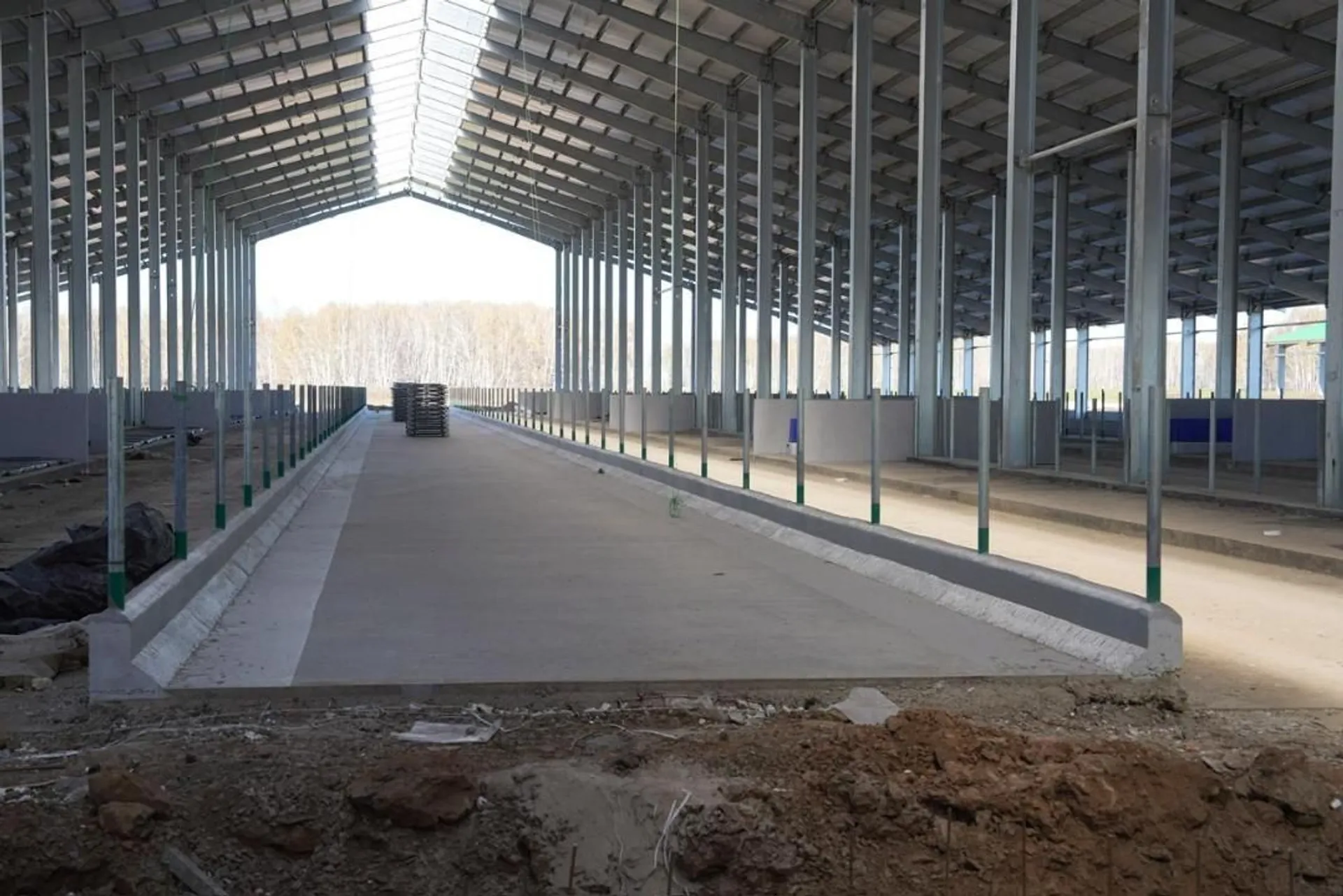 Капитал - Мегаферму строят в Северо-Казахстанской области 