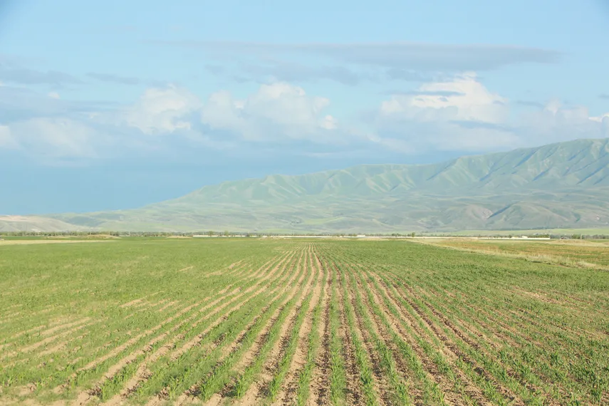 Фото: Руслан Пряников