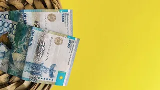 Фото: Валерия Змейкова