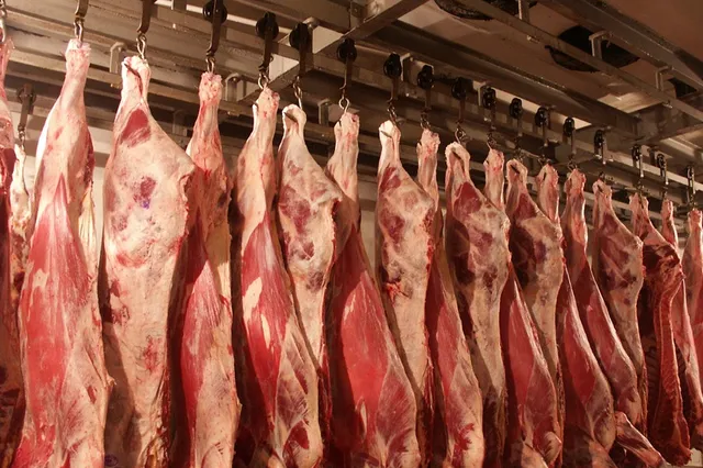 Казахстан сможет экспортировать мясо в ЕС