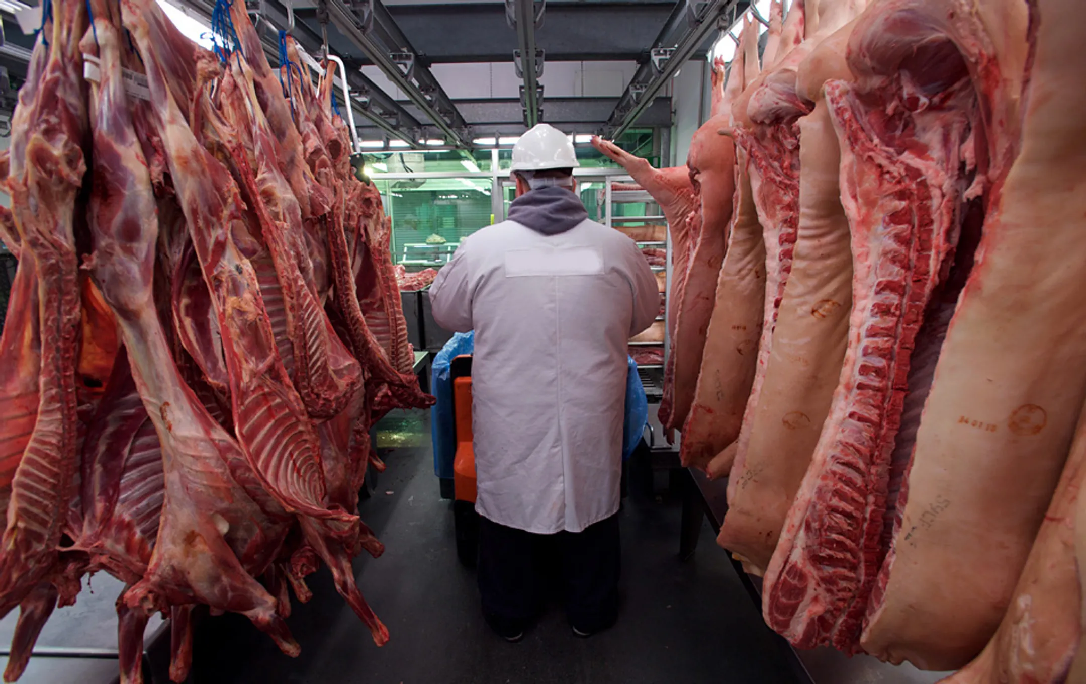 Передача опций - Image Kapital.kz