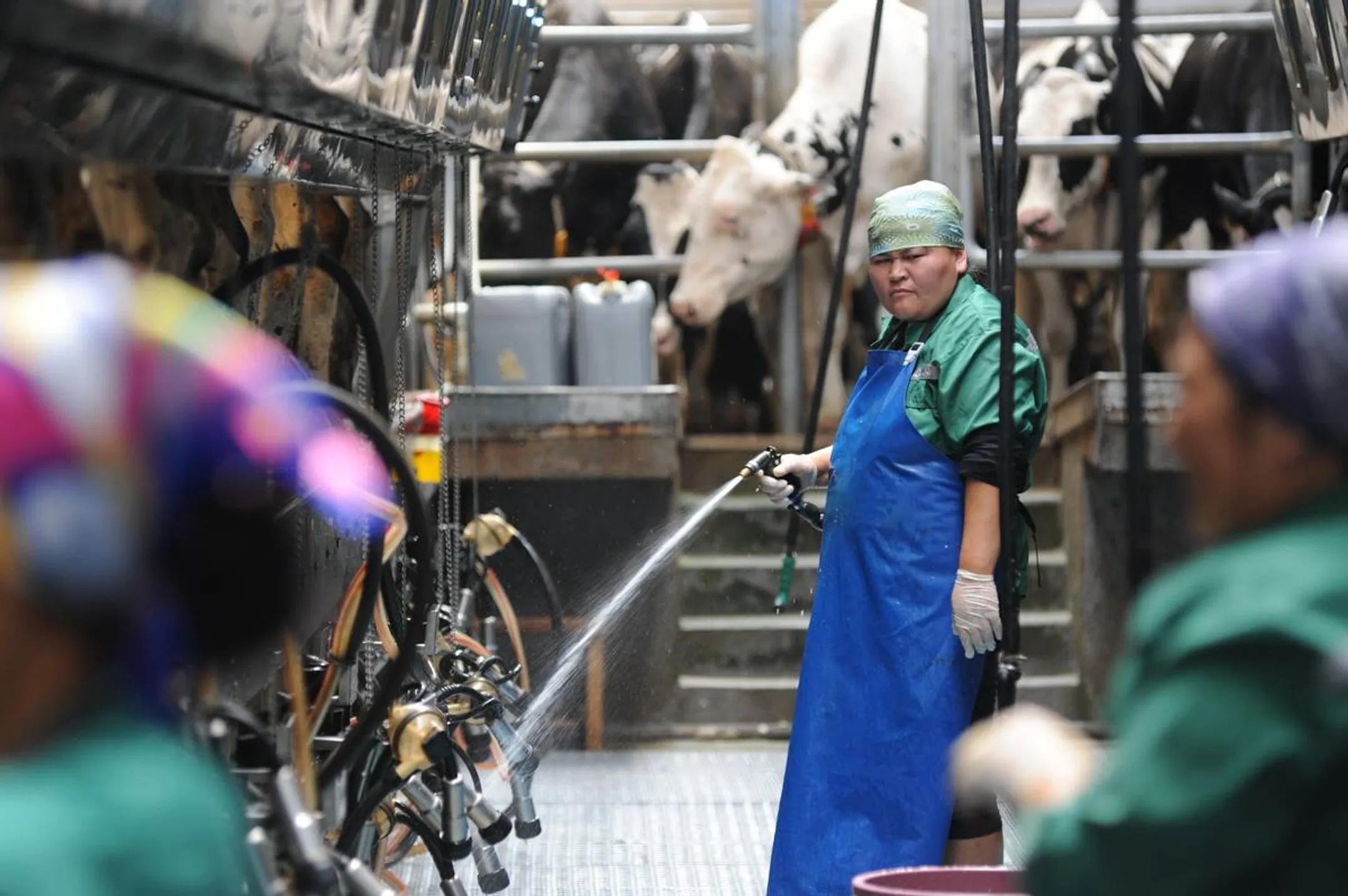 Интерес микрофинансовых организаций к кредитованию сельчан возвращается - Image Kapital.kz