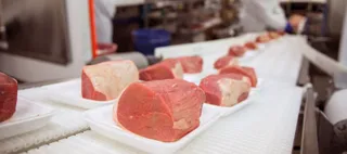 Капитал - Итальянская компания построит в Казахстане мясной завод