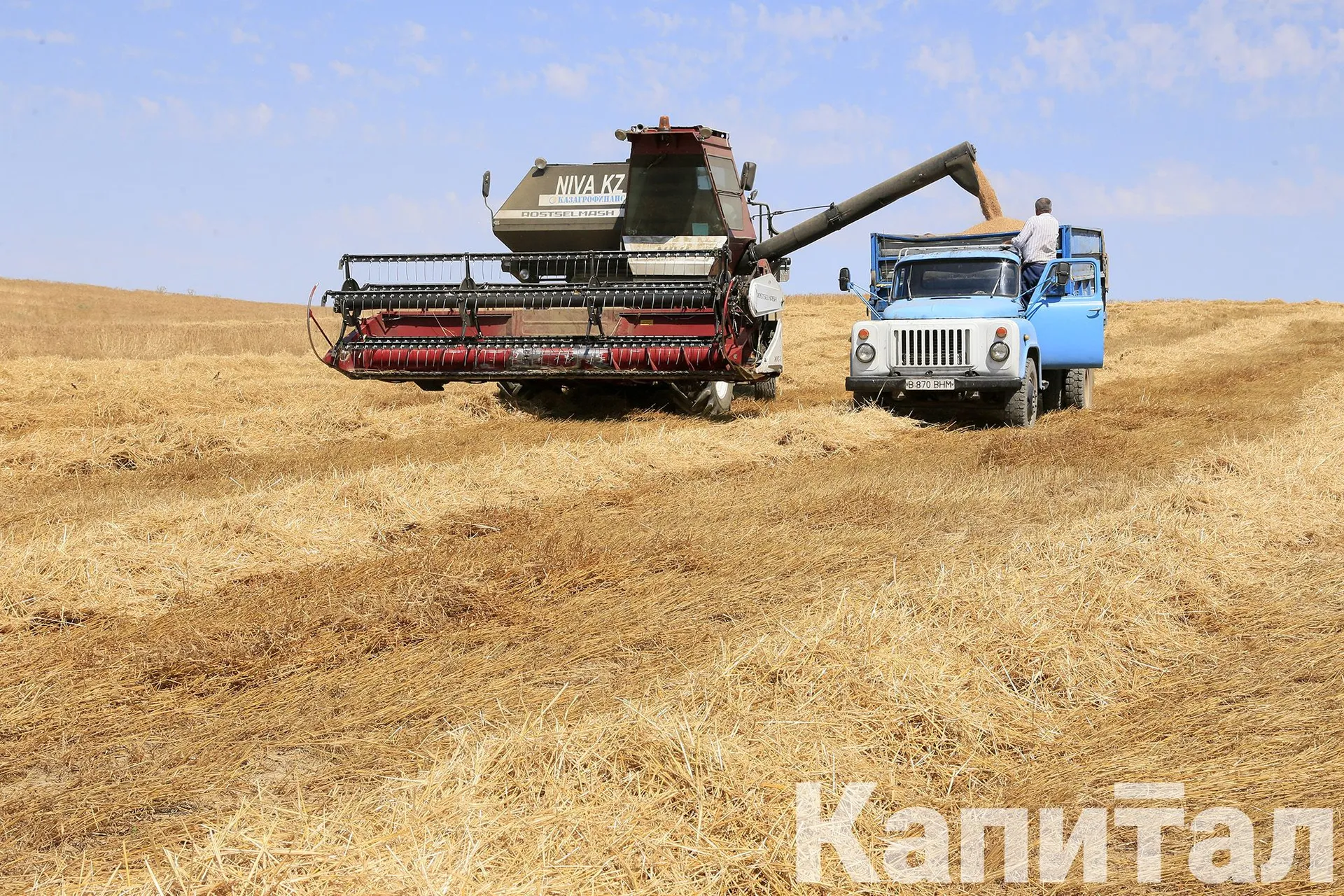 Капитал - Объем производства в агросекторе составил 170 млрд тенге