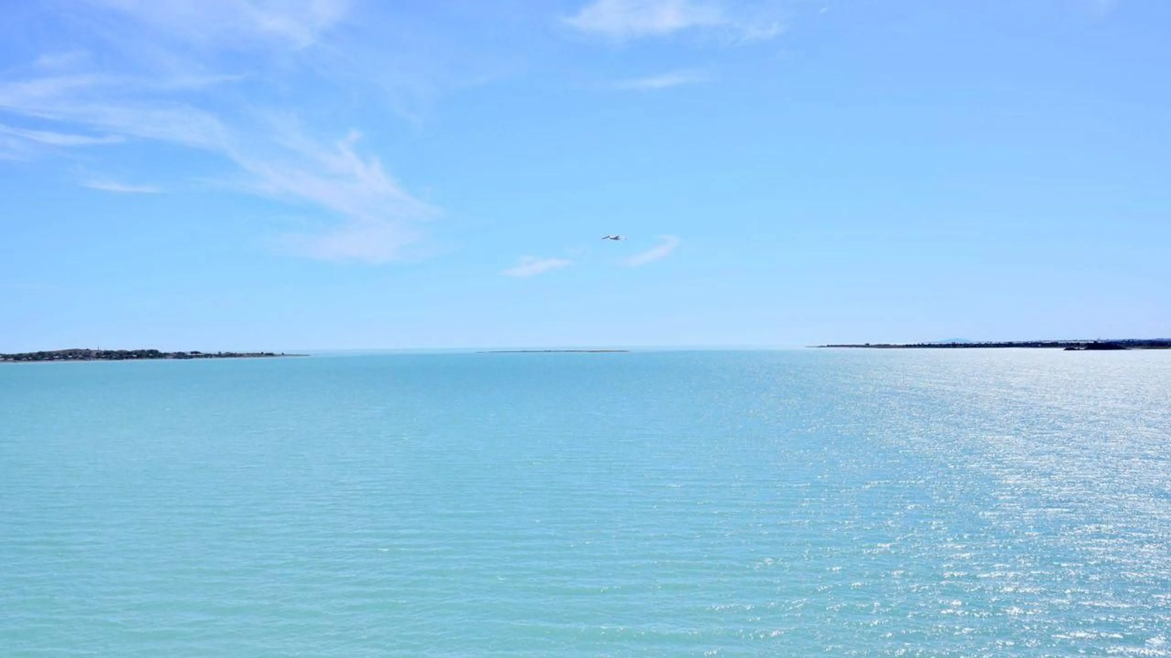 Фото: акимат Карагандинской области