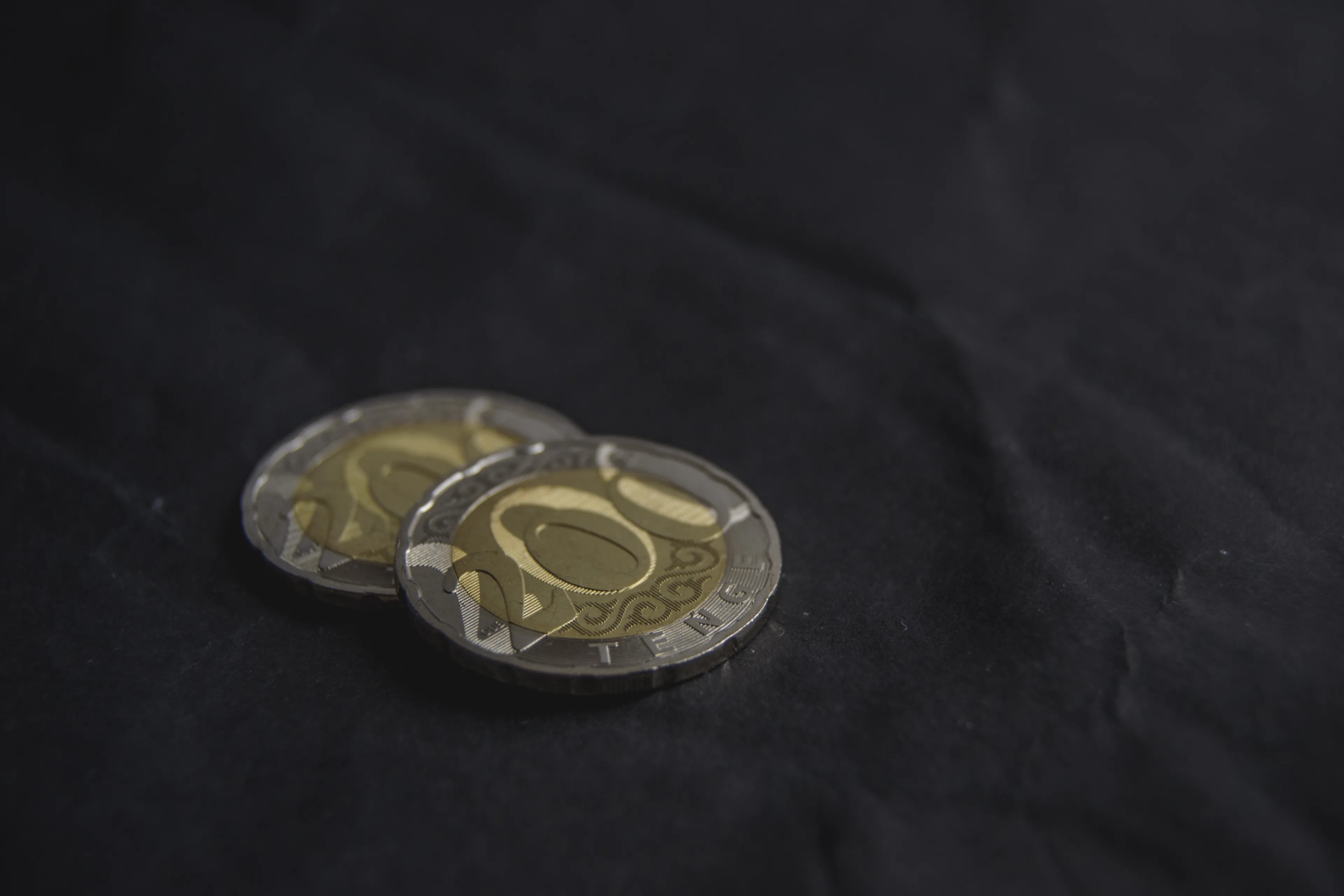 Фото: Валерия Змейкова