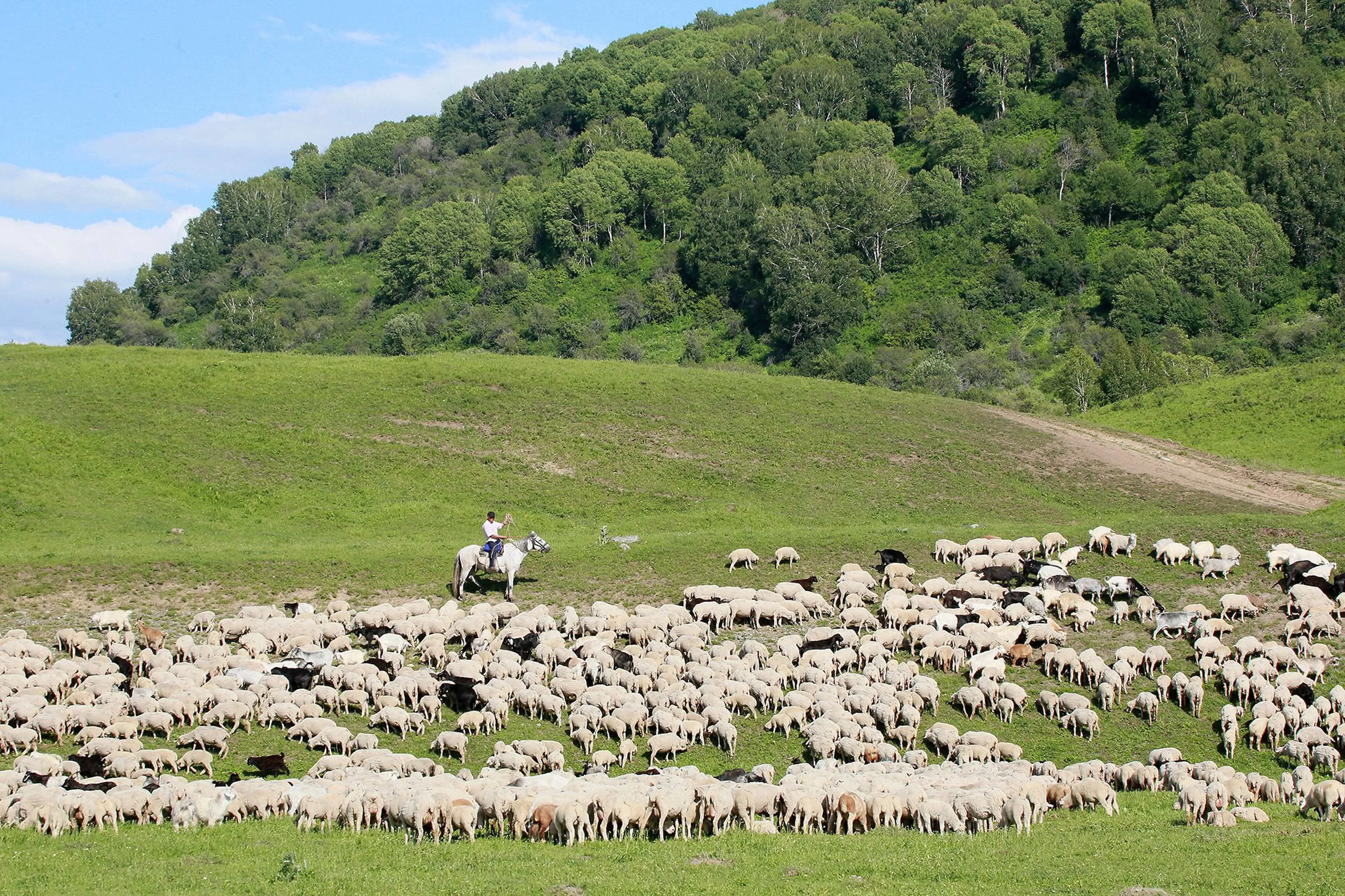 Фото: Руслан Пряников 