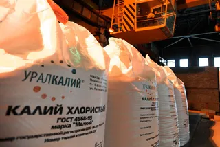 Капитал - 12,5% Уралкалия отошли китайскому фонду
