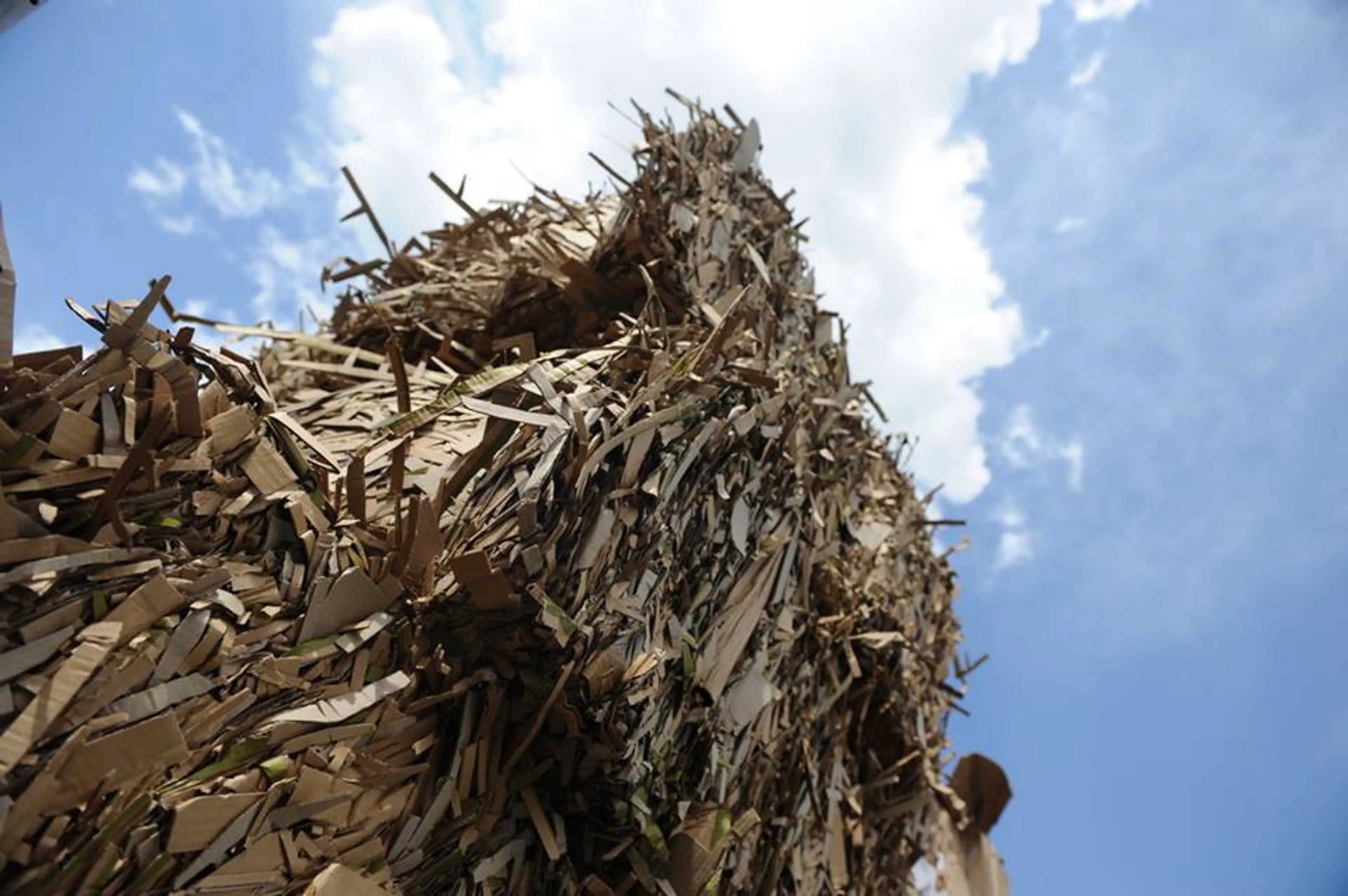 Фото: Владимир Третьяков