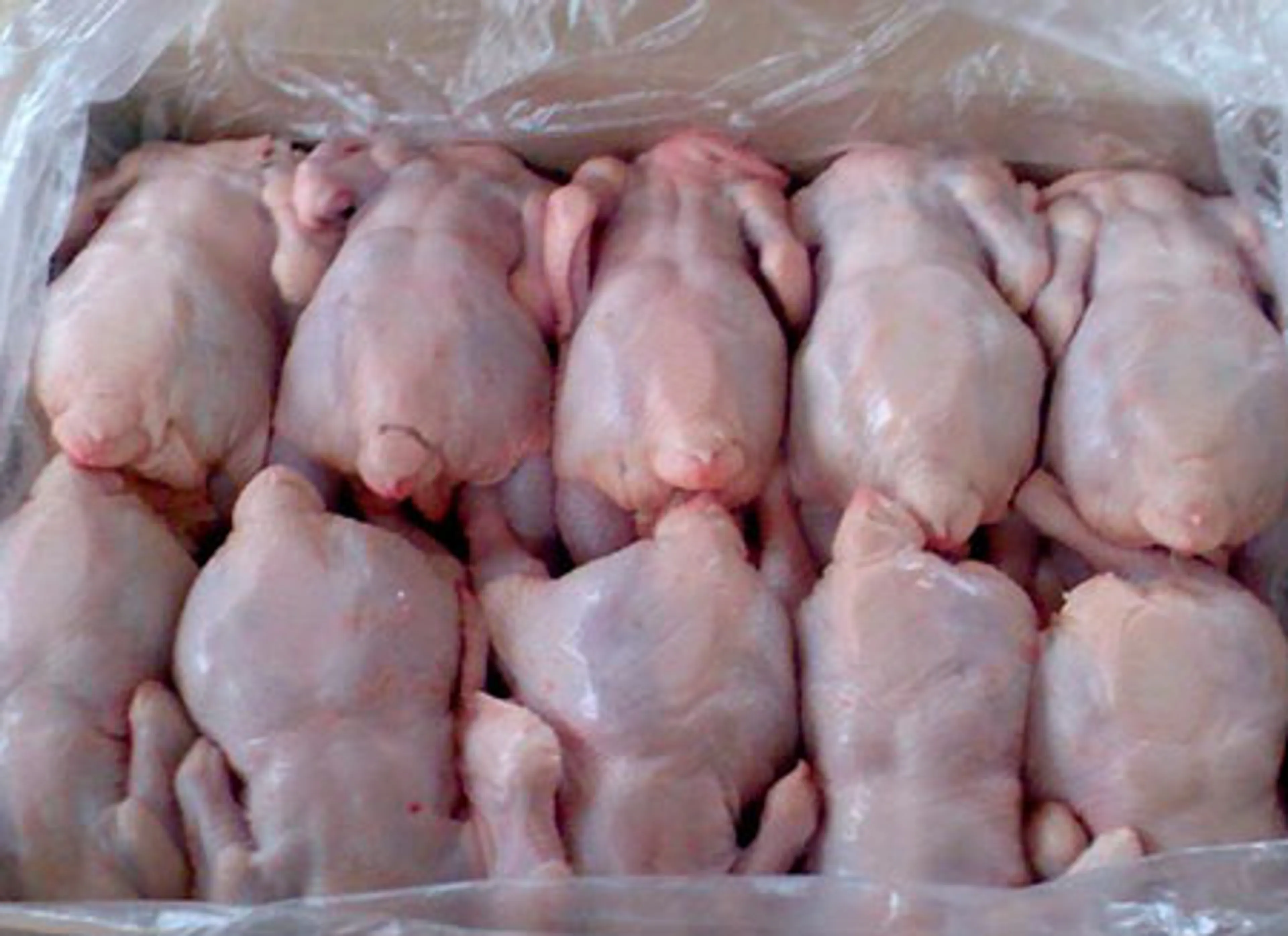 Капитал - $10 млн. теряет Украина на куриной войне в ТС