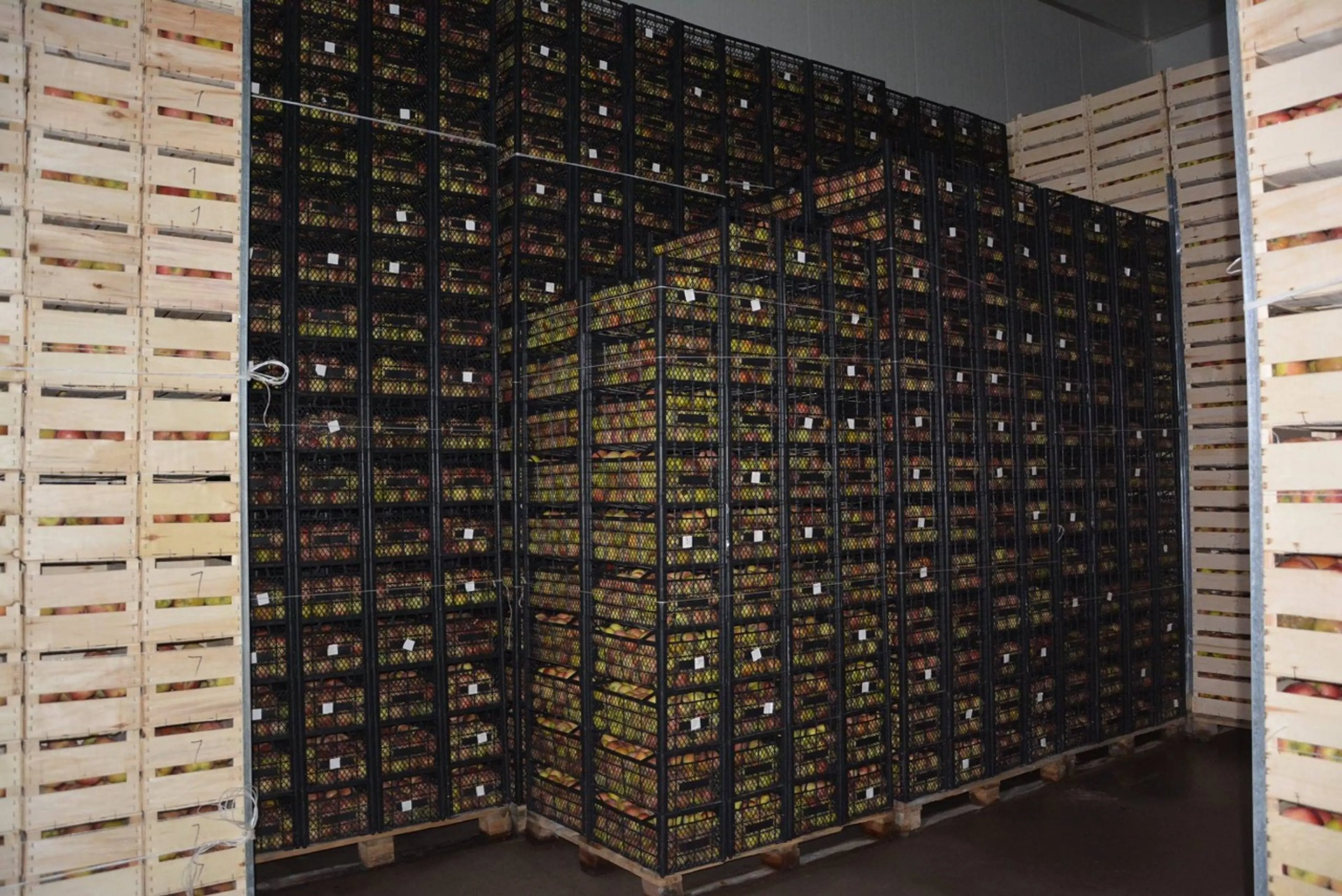 Капитал - Южно-Казахстанская область наращивает поставки фруктов